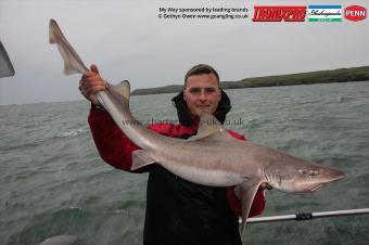 20 lb Starry Smooth-hound by Pete