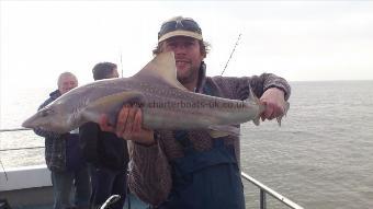 13 lb 8 oz Starry Smooth-hound by griff the birds