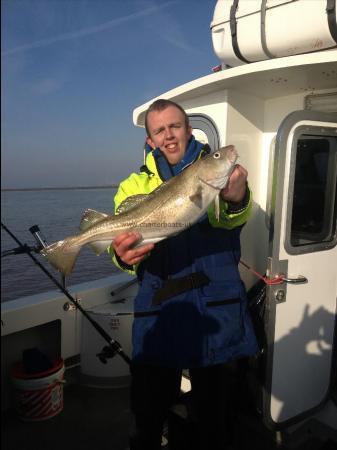 7 lb 12 oz Cod by Dan Lepetit