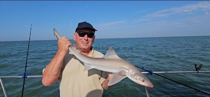 7 lb Smooth-hound by Mark