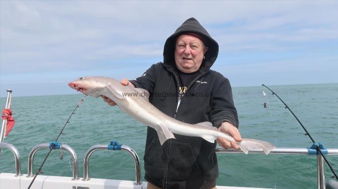 8 lb Smooth-hound by Emrys