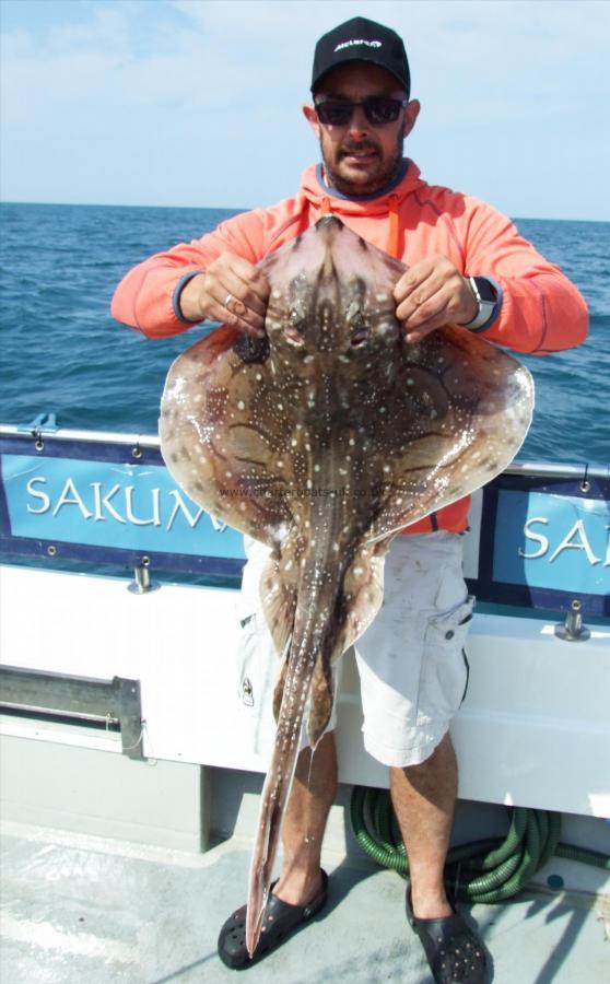 14 lb Undulate Ray by Matt Ranson