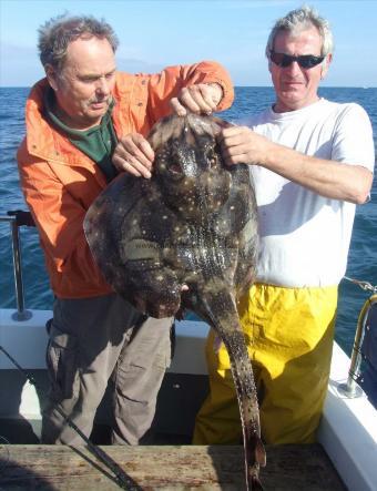 14 lb 8 oz Undulate Ray by John Clapson