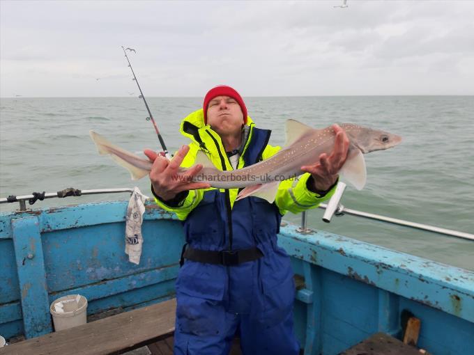 6 lb Smooth-hound by John