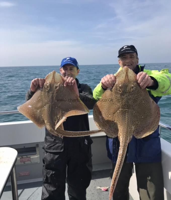 13 lb Blonde Ray by Pair of Blondes