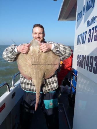 17 lb Undulate Ray by Unknown