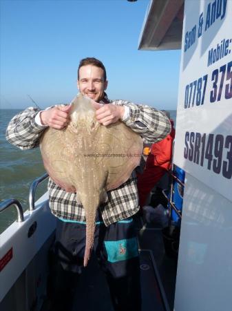 17 lb Undulate Ray by Unknown