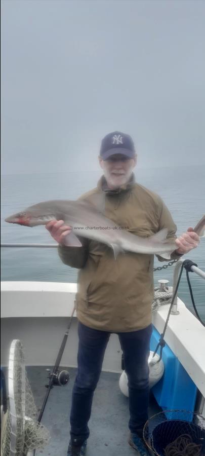 12 lb Smooth-hound (Common) by Keith