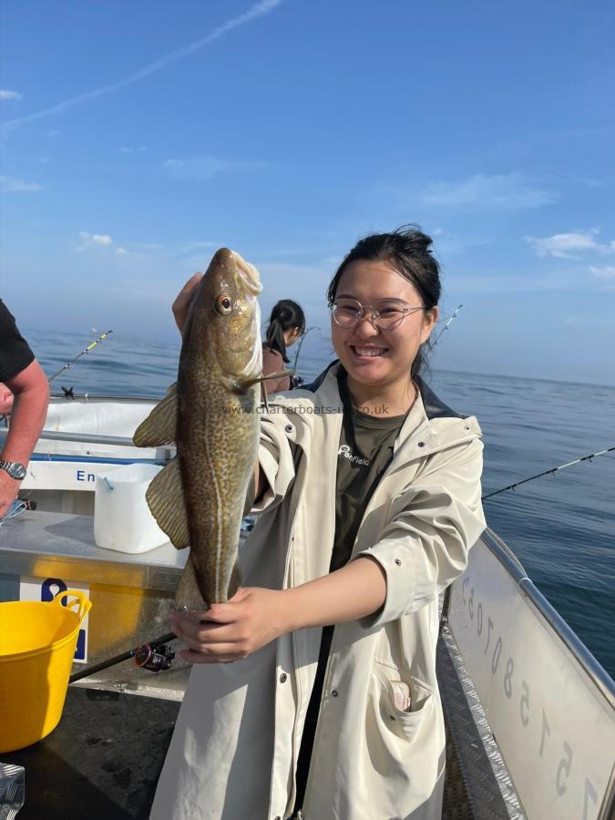 3 lb Cod by Unknown