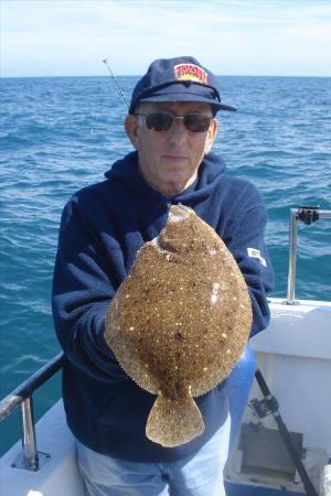 3 lb Brill by Mell
