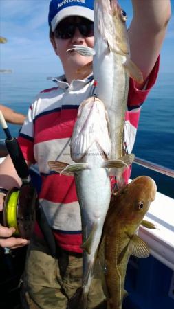 2 lb Cod by young lad jack