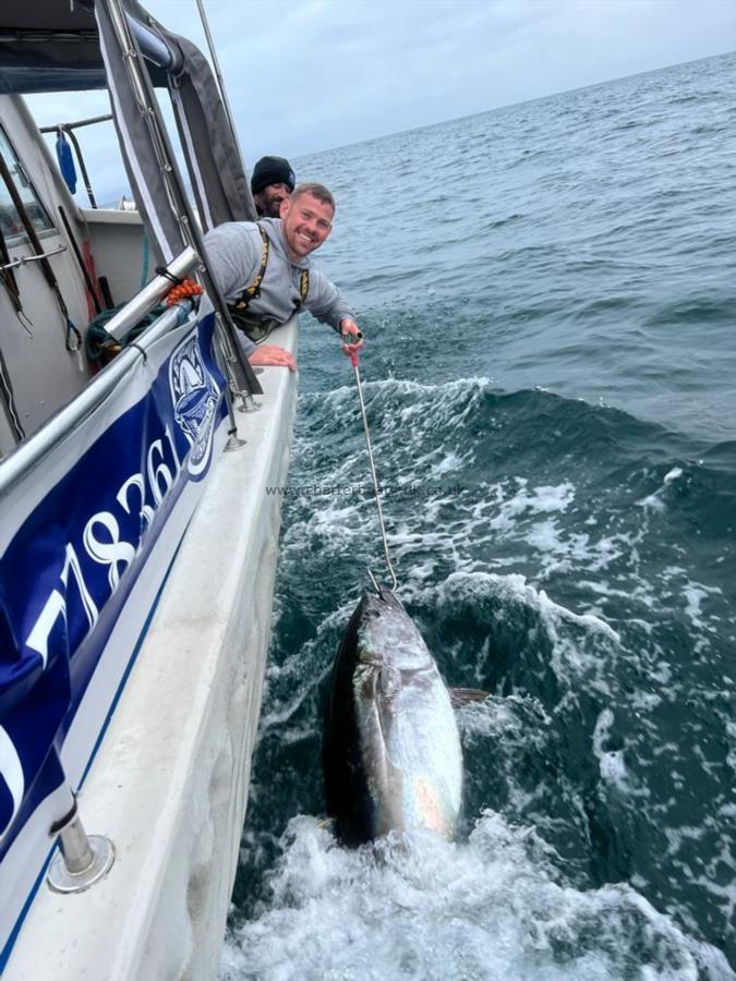 1 Kg Bluefin Tuna by Unknown