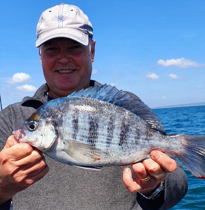 1 lb 8 oz Black Sea Bream by Paul