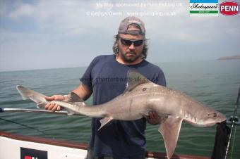 18 lb Starry Smooth-hound by Peter