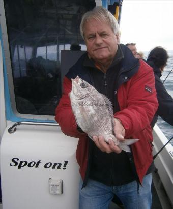 1 lb 14 oz Black Sea Bream by Peter