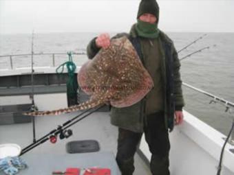 13 lb 7 oz Thornback Ray by Andy Page