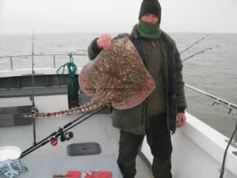 13 lb 7 oz Thornback Ray by Andy Page