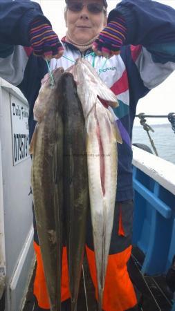8 lb Ling by chrissy urry from hull with 3 her ling