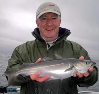 2 lb Coalfish (Coley/Saithe) by Glen Savill