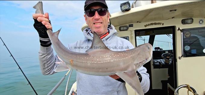 5 lb Smooth-hound by Ian
