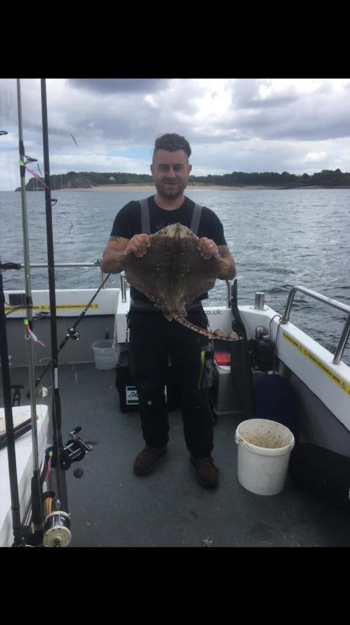 7 lb Thornback Ray by Unknown