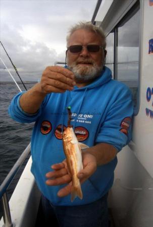 14 oz Red Mullet by Phil
