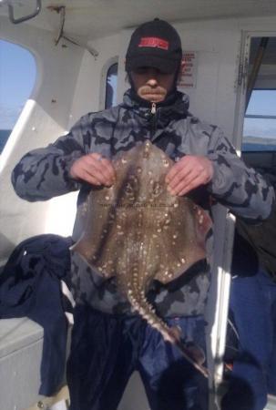 8 lb Thornback Ray by Carl Burns