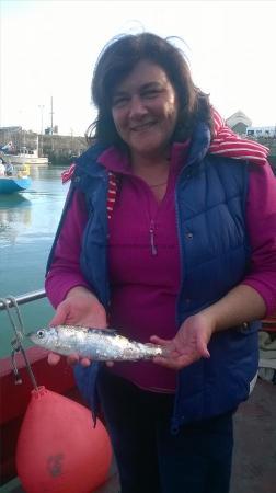 1 lb 3 oz Herring by kirsty