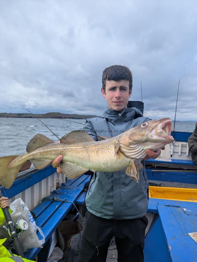 6 lb 2 oz Cod by Unknown