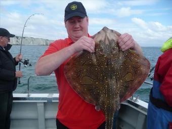 12 lb Undulate Ray by Unknown