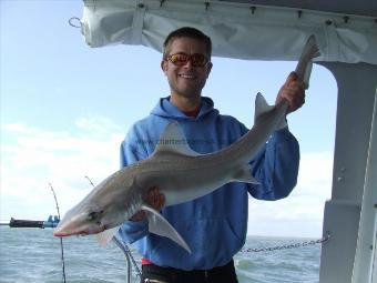 11 lb 6 oz Starry Smooth-hound by scott