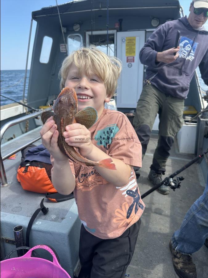 10 oz Tub Gurnard by Finley