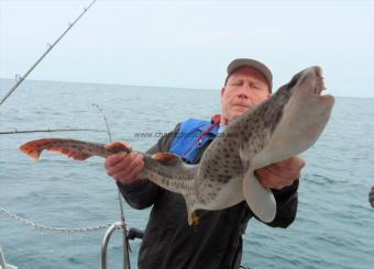 14 lb 4 oz Bull Huss by Andy Truelove