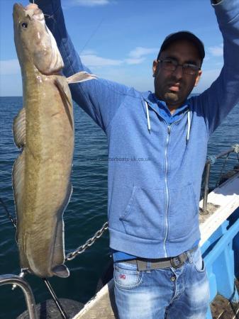 10 lb Ling by one of the ads from bradford on 30/8