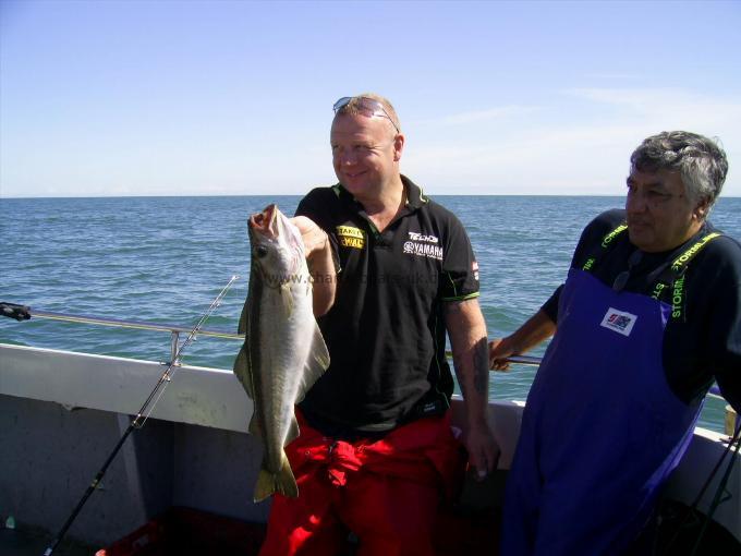 6 lb 4 oz Pollock by Unknown