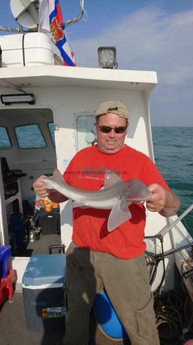 7 lb Smooth-hound (Common) by David