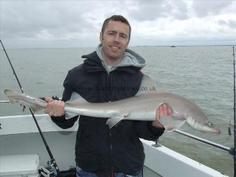 13 lb 1 oz Starry Smooth-hound by dave?