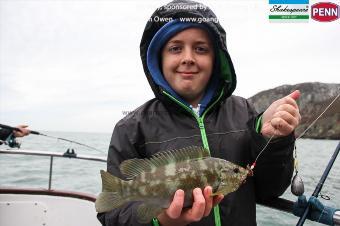 2 lb Ballan Wrasse by Ben