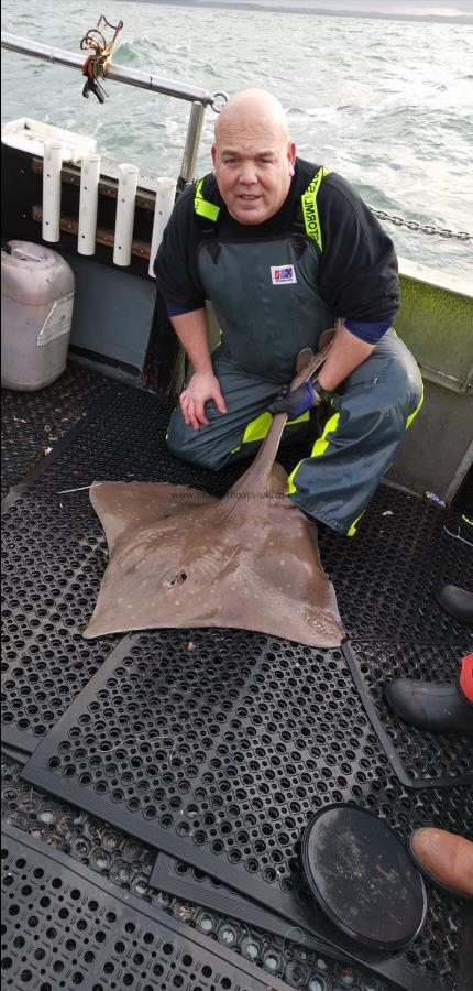 35 lb Common Skate by skipper Dom