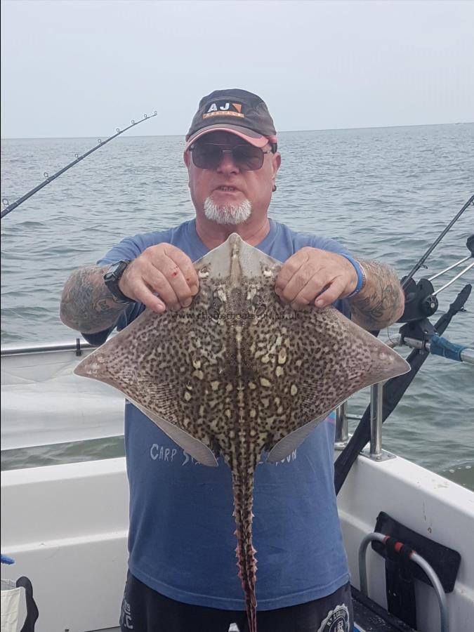 3 lb 5 oz Thornback Ray by Dave Jones