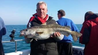 12 lb Pollock by Steve from Really Wrecked SAC