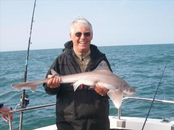 12 lb Starry Smooth-hound by Chris