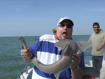 10 lb Starry Smooth-hound by kevin
