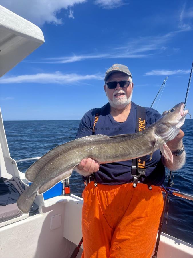 8 lb 4 oz Ling by Ian Kellock