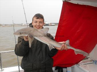 5 lb Starry Smooth-hound by Kyle Amies
