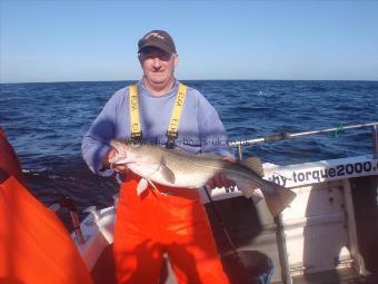 11 lb 5 oz Cod by Brian Towle from Hull.