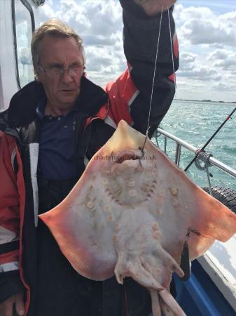 8 lb Thornback Ray by bob urry on form again today catching fish