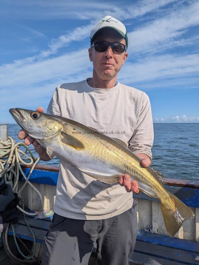 7 lb 6 oz Pollock by Unknown