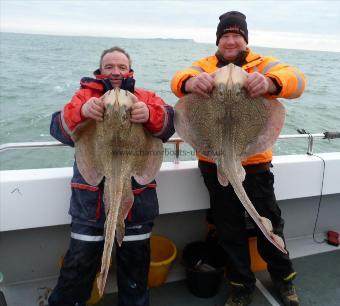 14 lb Undulate Ray by kai and graham