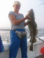 13 lb Cod by Anne Tindall from Scarborough.